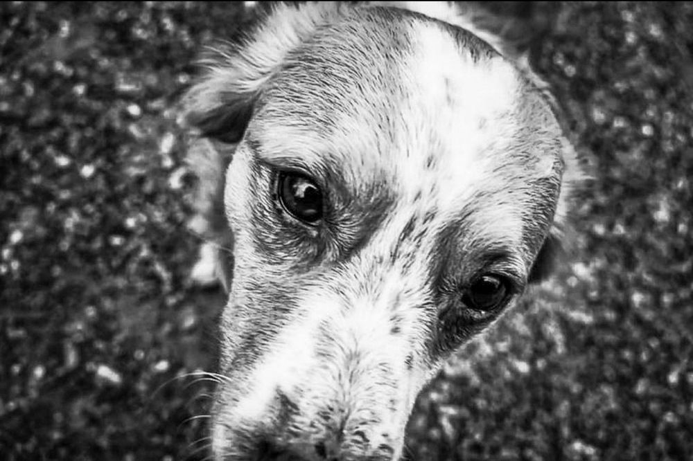 Photograph by SIMONE CIULLI