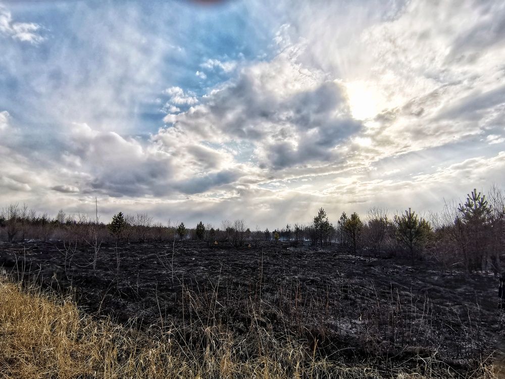 Photograph by Наталья Горбачева