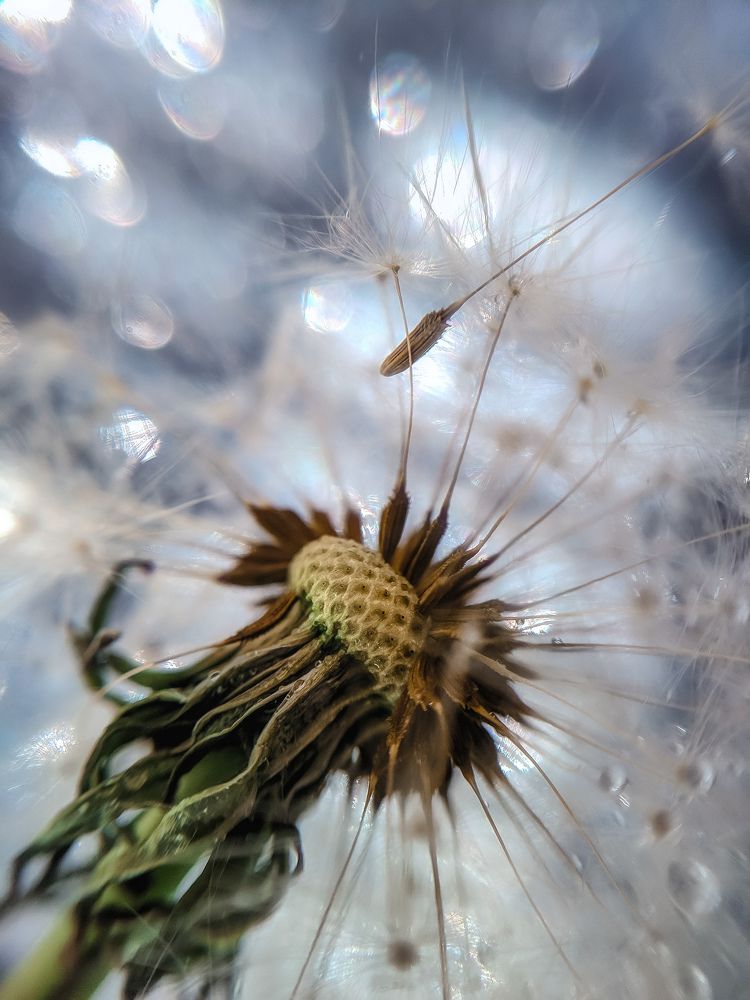 Модная причёска.