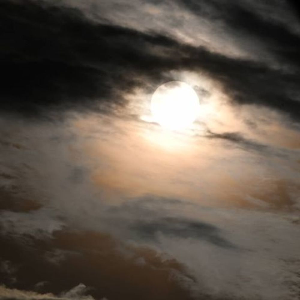 Photograph by Guido Wouters