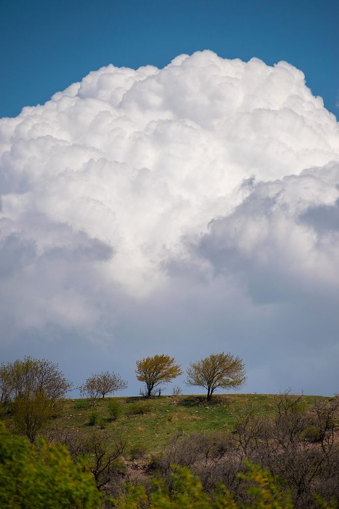 Photograph by Amir Ramezani