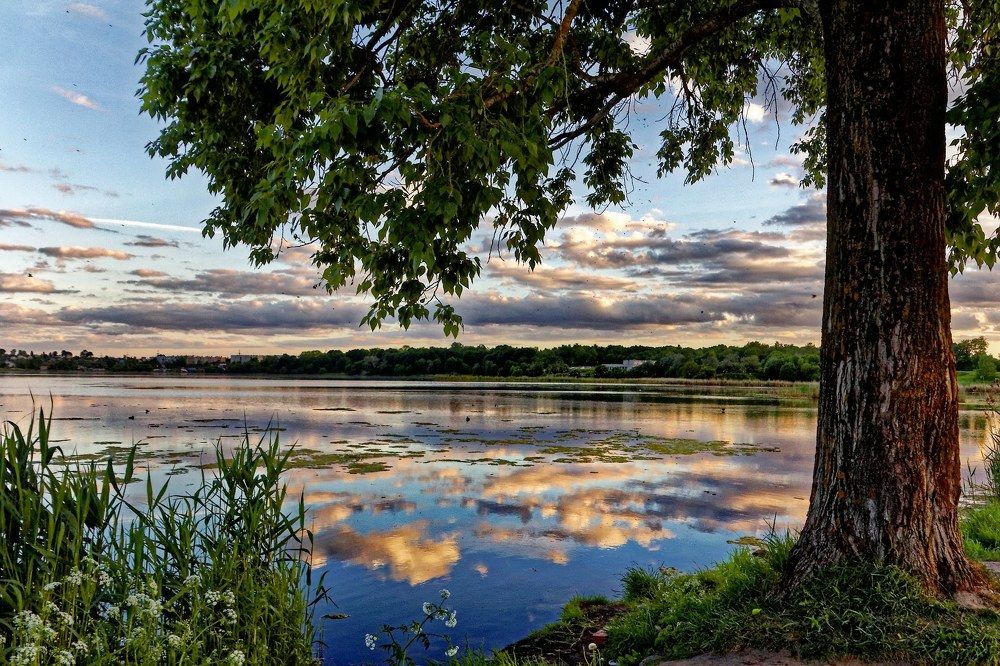 Дудергофское озеро