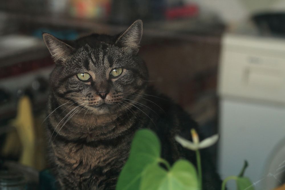 Photograph by VLADISLAVS MIKUSA