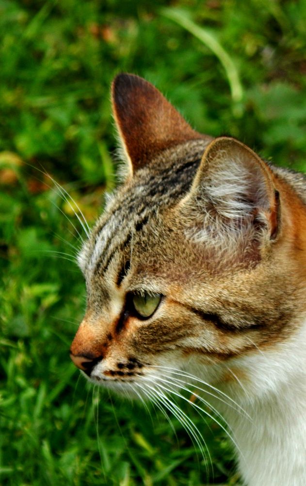 Photograph by Анастасия Моисеева