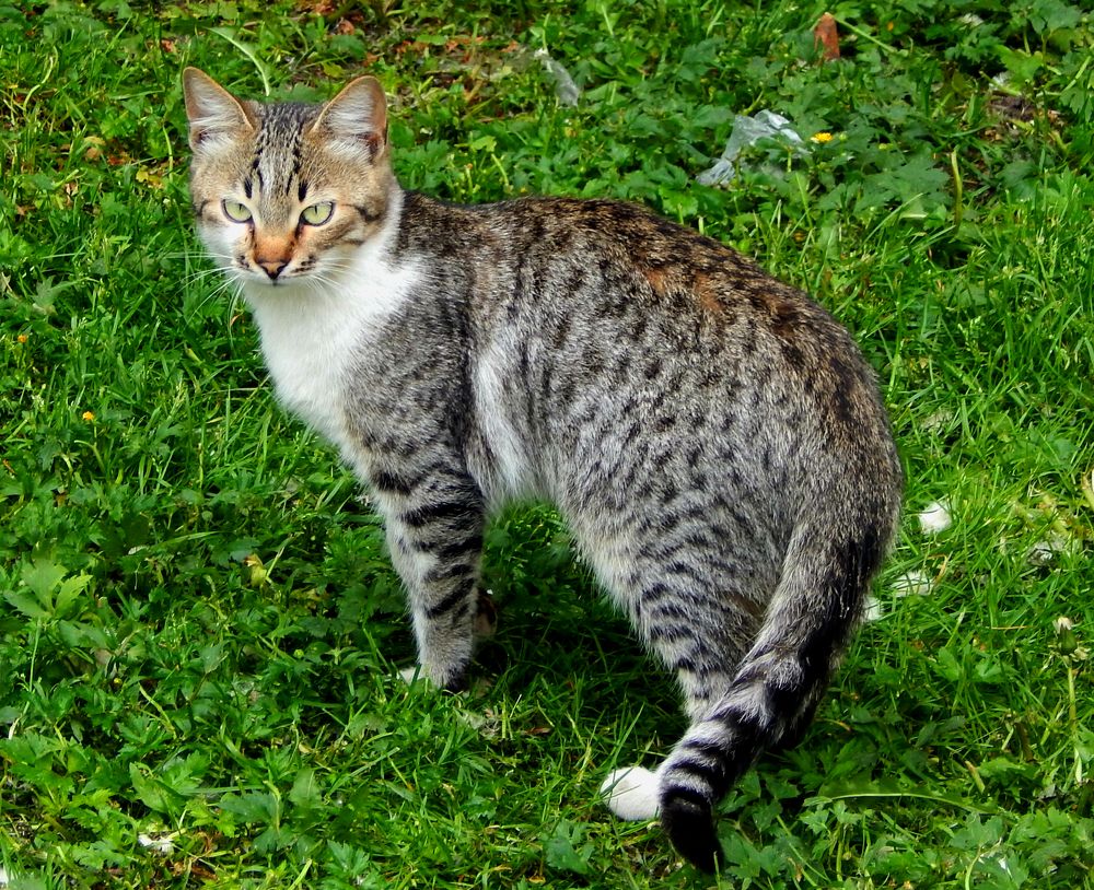 Photograph by Анастасия Моисеева