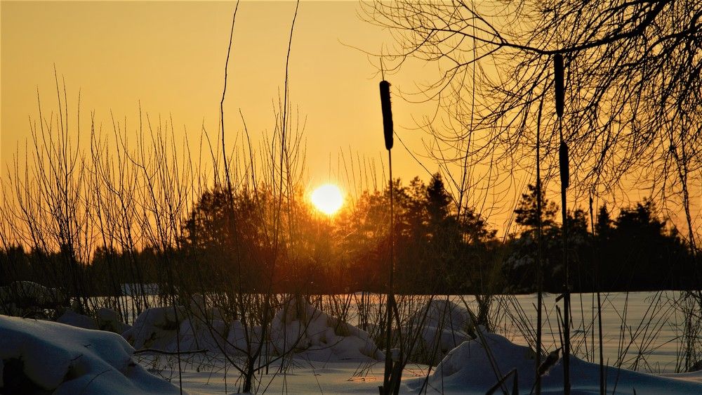 Photograph by Alvydas Baltakis