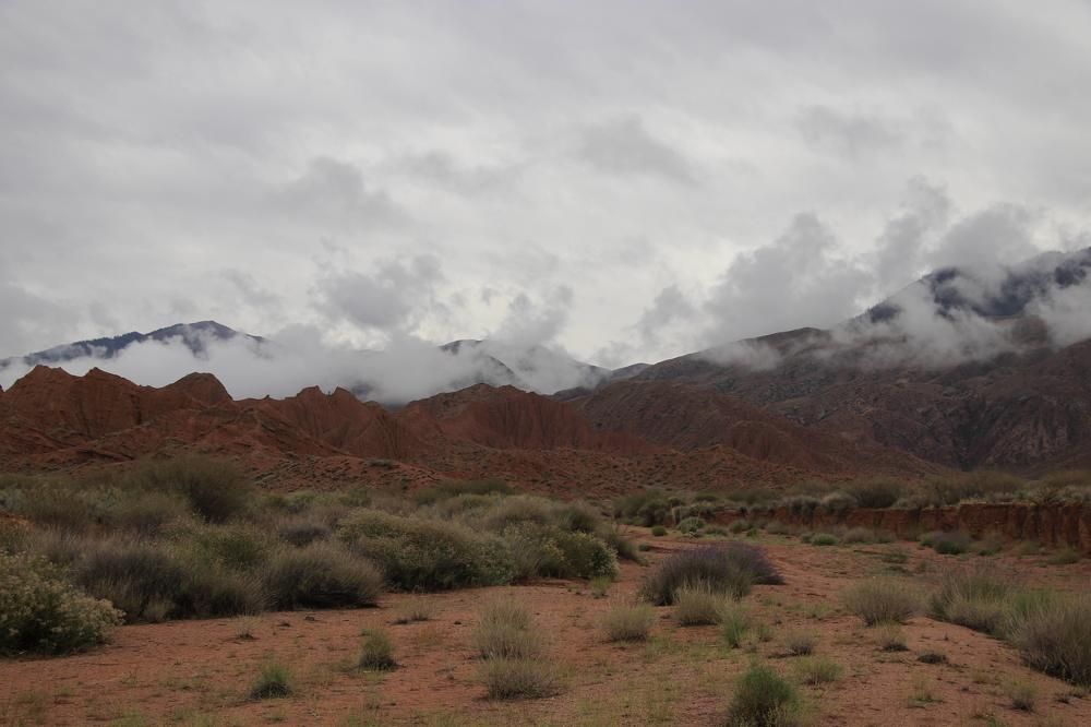 Photograph by Виктория Пономарева