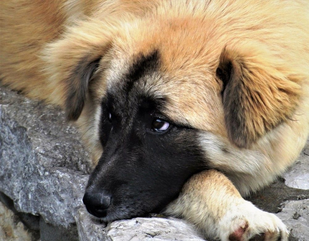 Photograph by Марина Раткун