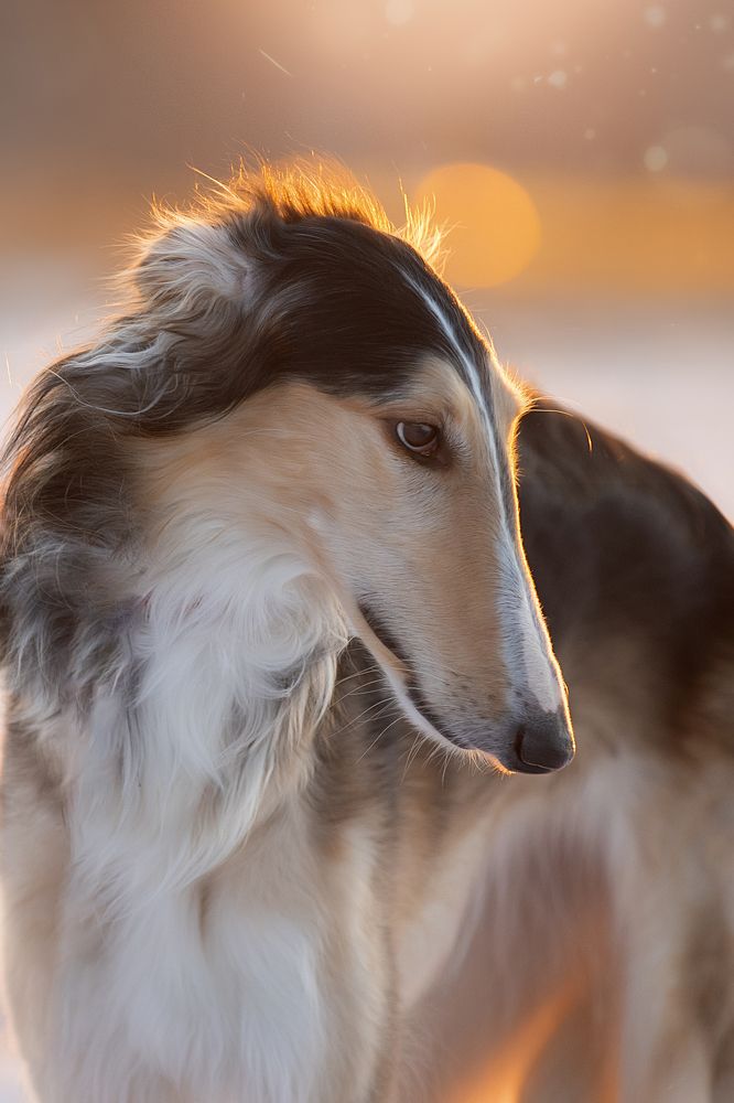 Photograph by Светлана Писарева