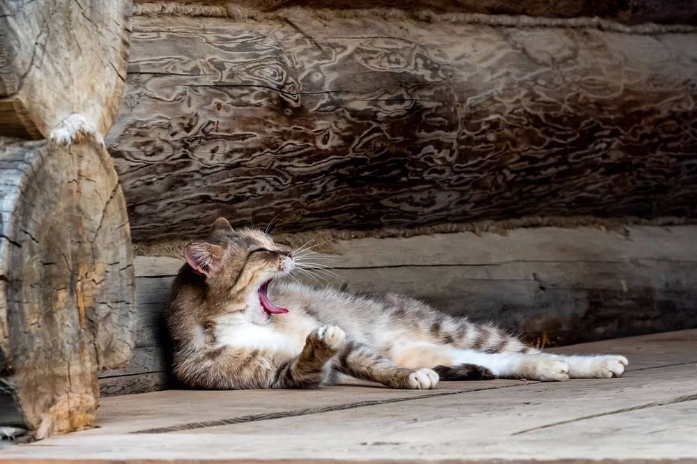 Photograph by Галина Аскольдовна Луковникова