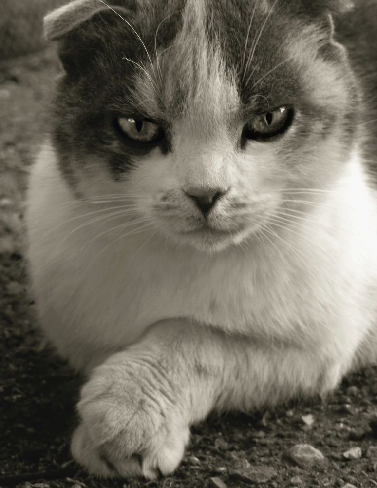 Photograph by Марина Романцова