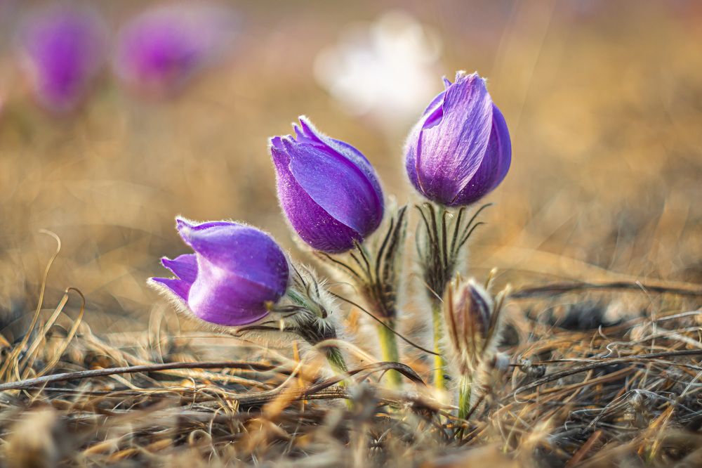 Photograph by Дмитрий Портных