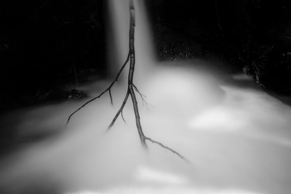 Photograph by Dino Sirica