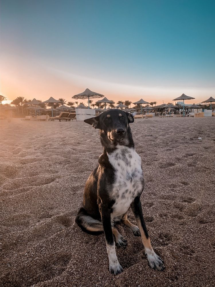 Photograph by Данила Богданов