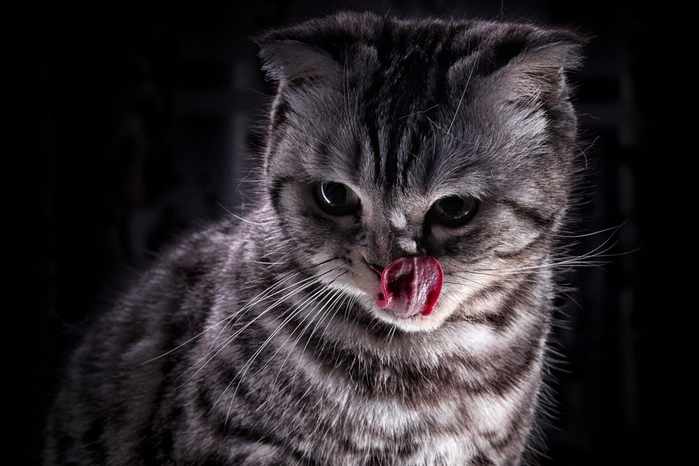 Photograph by Виталий Мытник