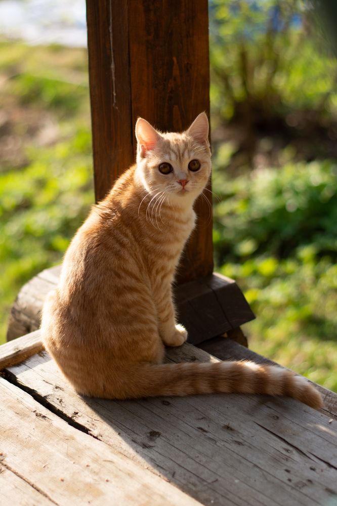 Photograph by Екатерина Устьянцева