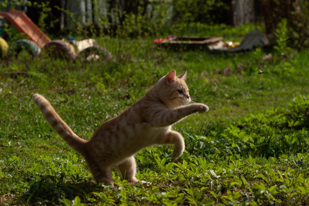 Photograph by Екатерина Устьянцева