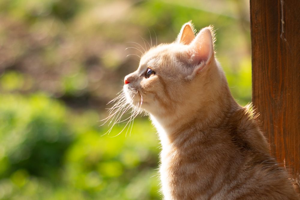 Photograph by Екатерина Устьянцева