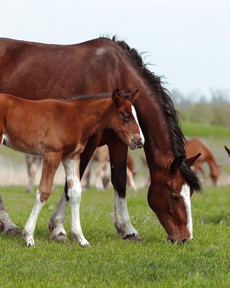 Фотография автора Элла Ляхова