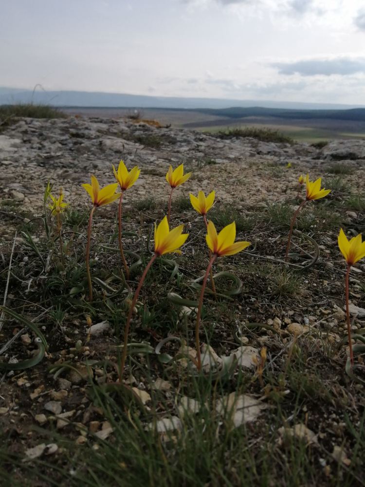 Photograph by Виталий Гончаров