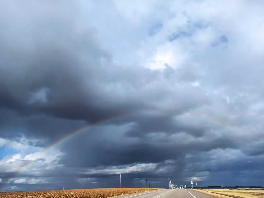 Родные просторы