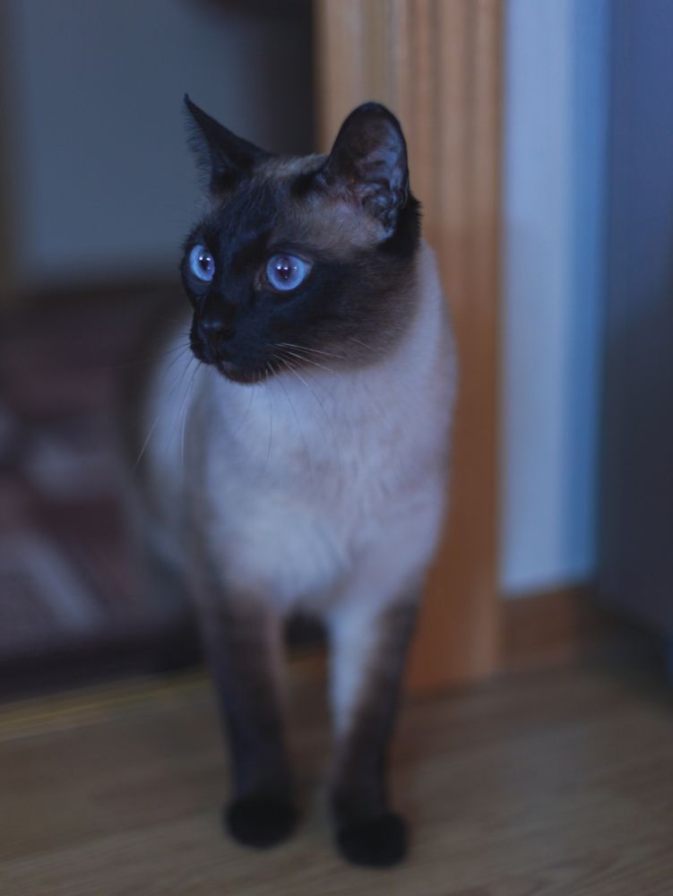 Photograph by Nadezhda Stoliarova