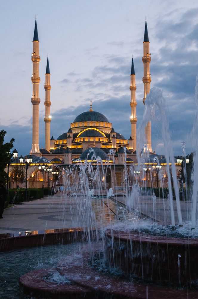 Фотография автора Екатерина Полякова