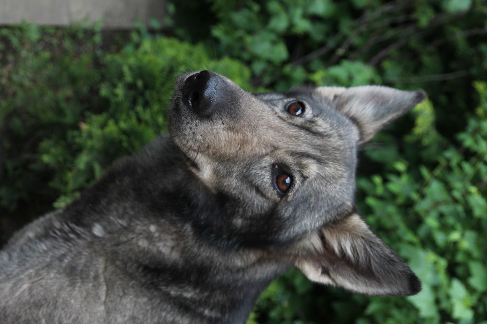 Photograph by Анастасия