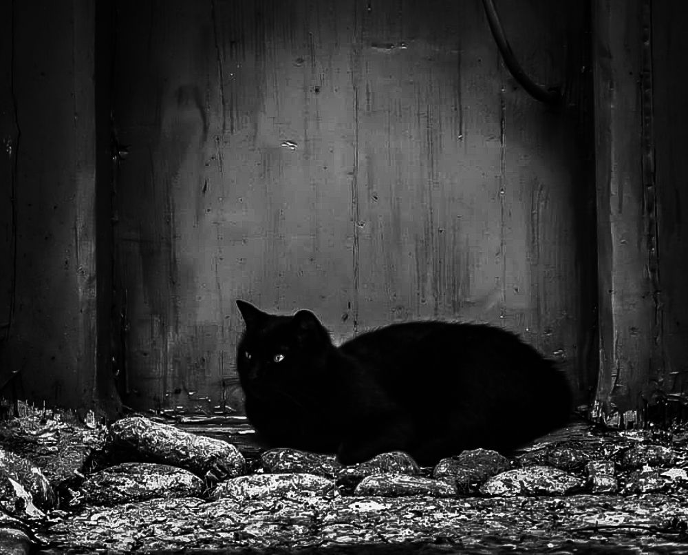 Photograph by Eivind Khagen