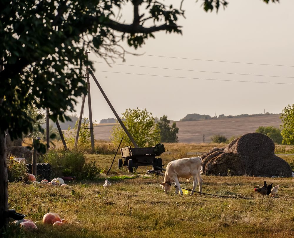 Photograph by Eivind Khagen