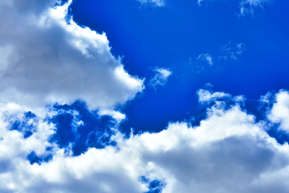 Фотография автора Livija Gotz