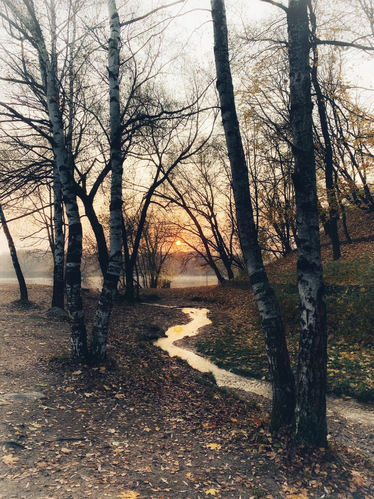 Photograph by Екатерина Моисеенко