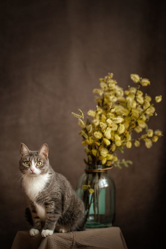 Photograph by Алексей и Юлия Дарьины