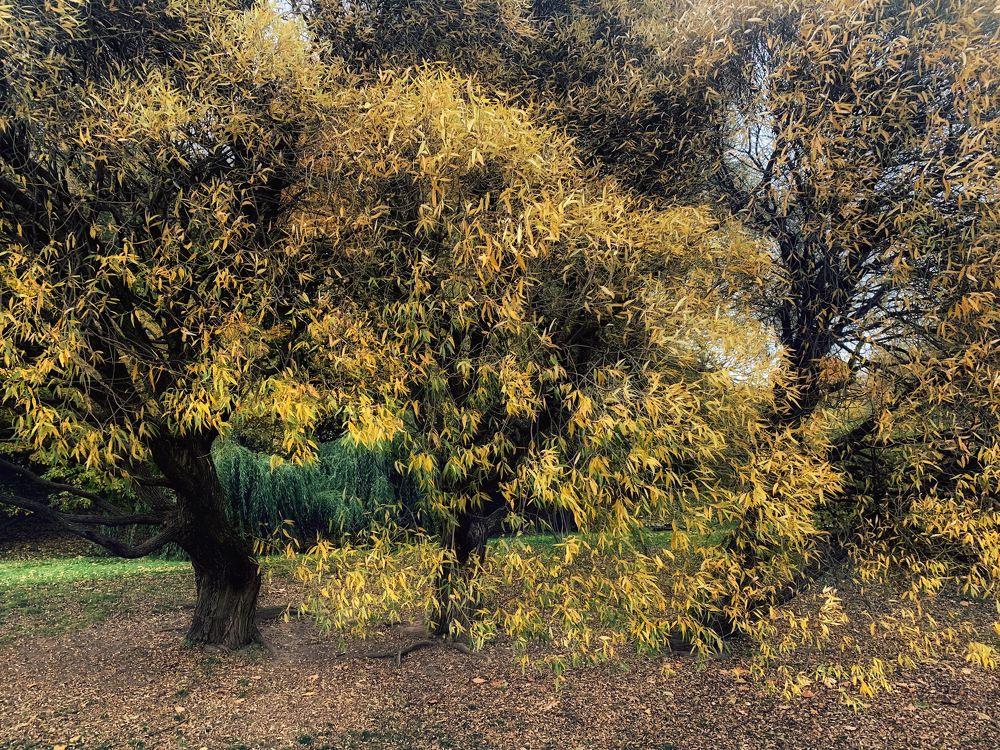 Photograph by Екатерина Моисеенко