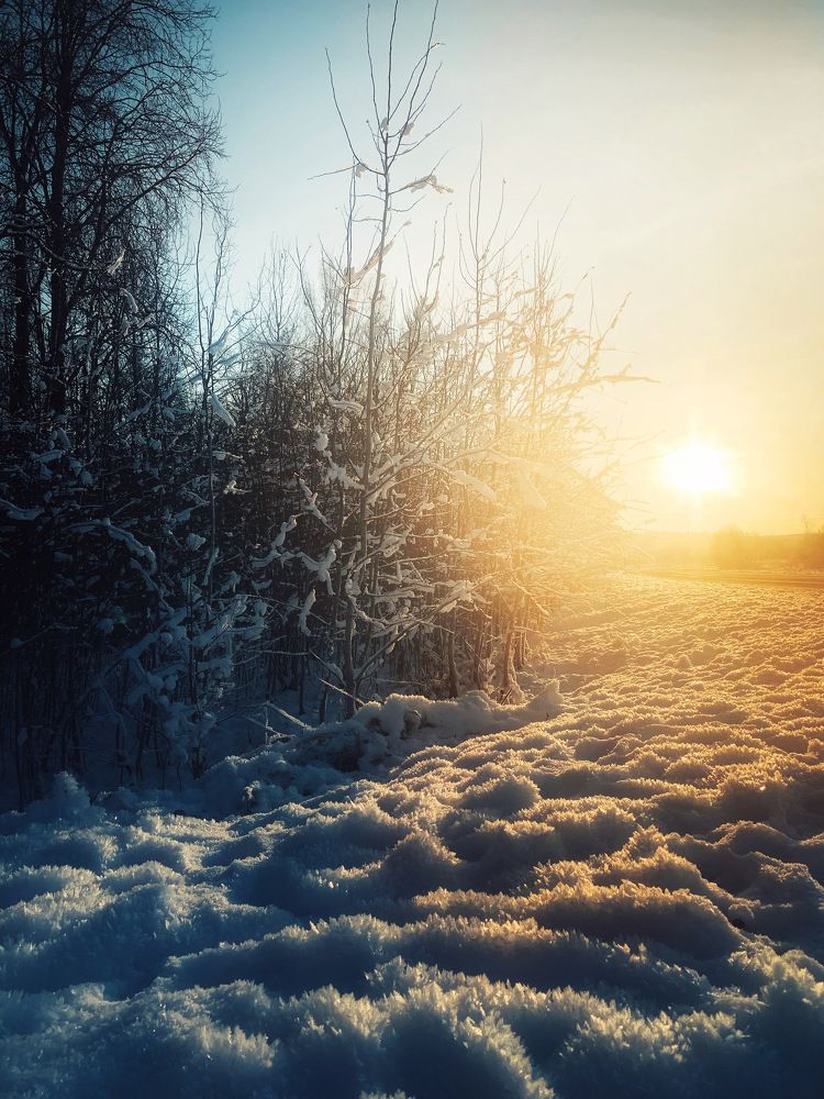 Photograph by Екатерина Моисеенко