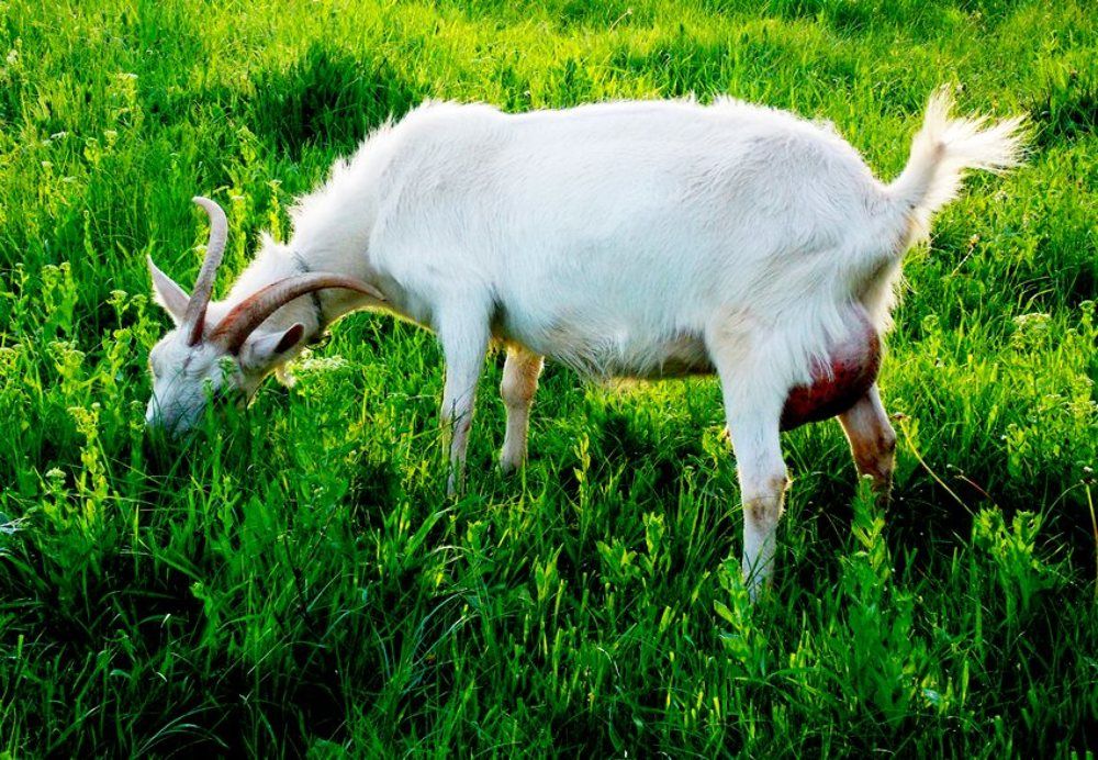 Photograph by Евгений Бригиневич - Снежин