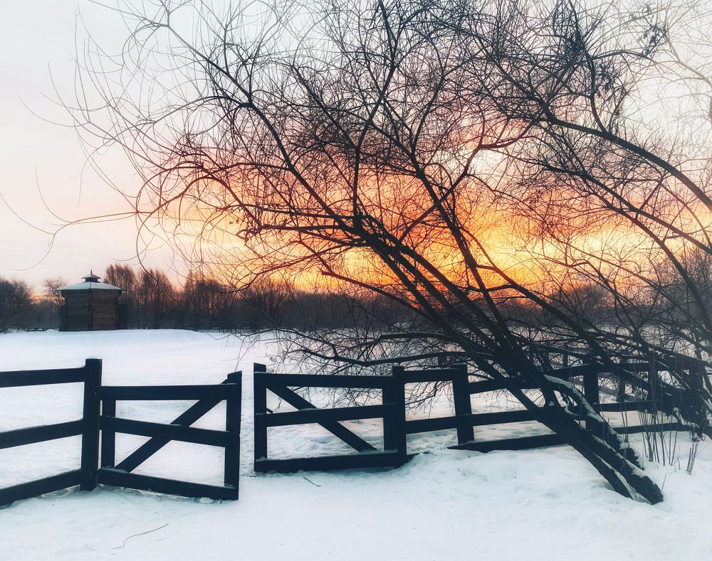 Photograph by Екатерина Моисеенко