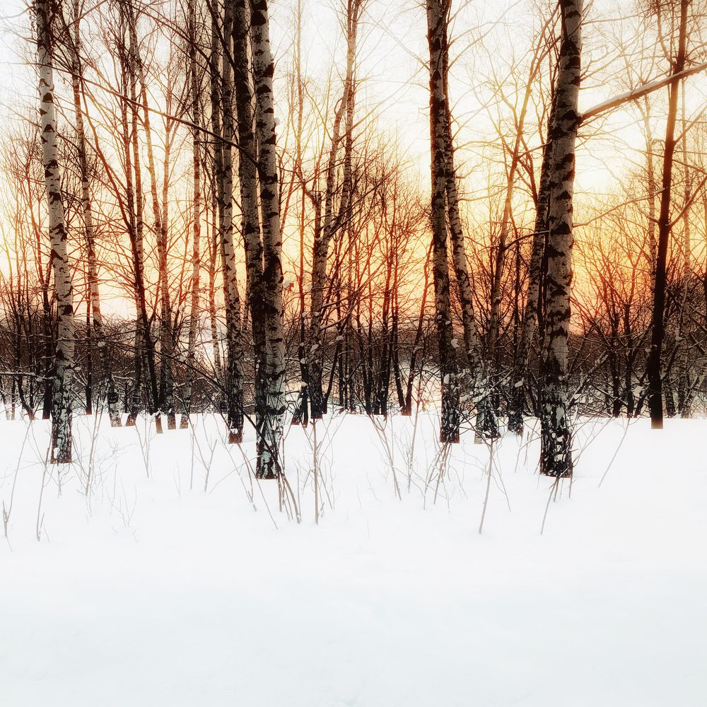 Photograph by Екатерина Моисеенко