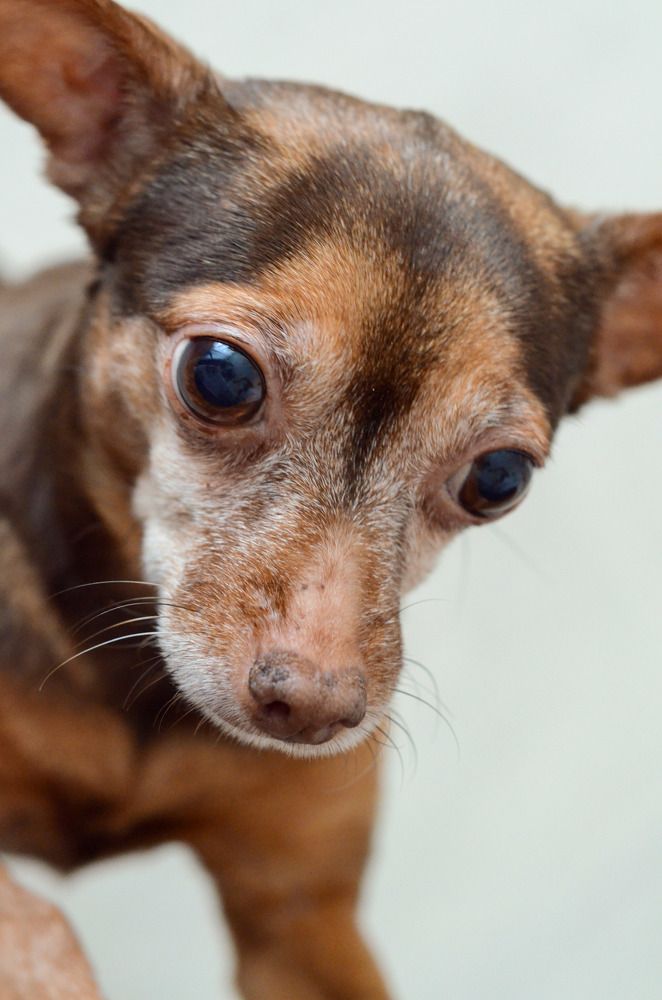 Photograph by Наталья Скиданова