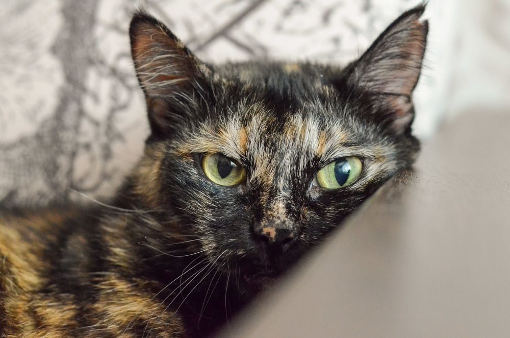 Photograph by Наталья Скиданова