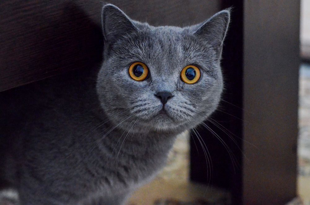 Photograph by Наталья Скиданова