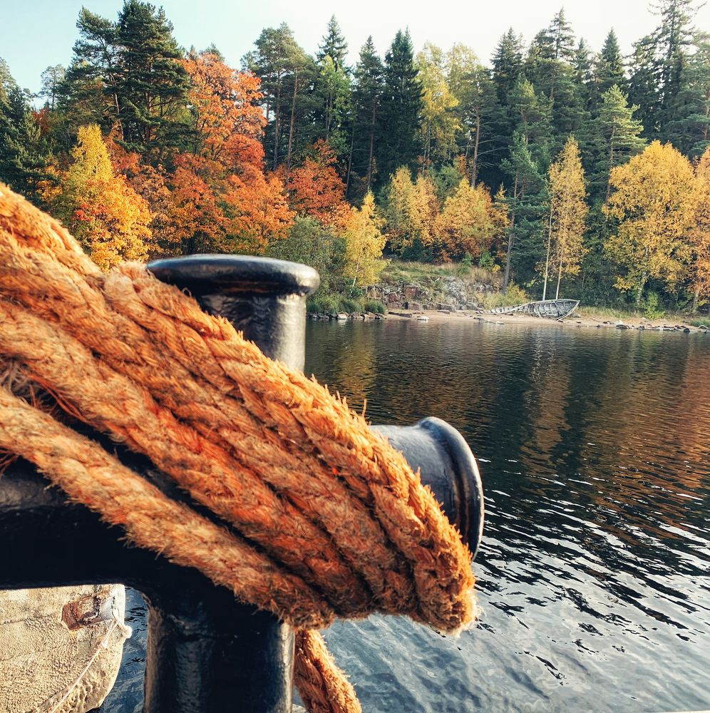 Photograph by Екатерина Моисеенко
