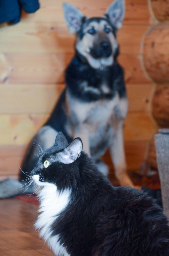 Photograph by Наталья Скиданова