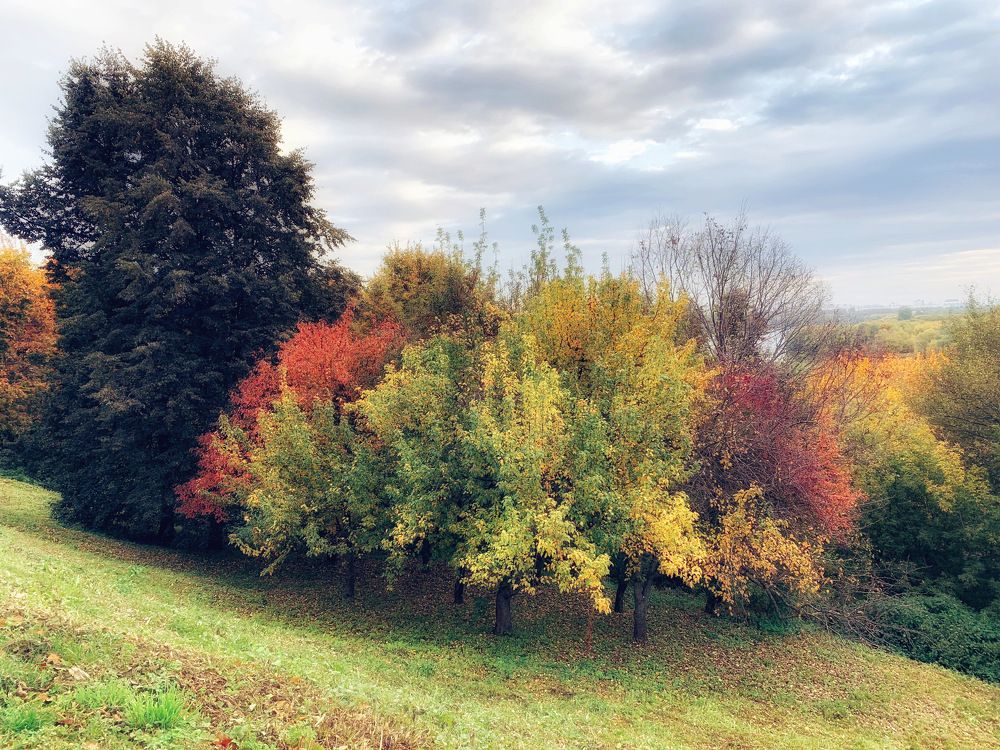 Photograph by Екатерина Моисеенко