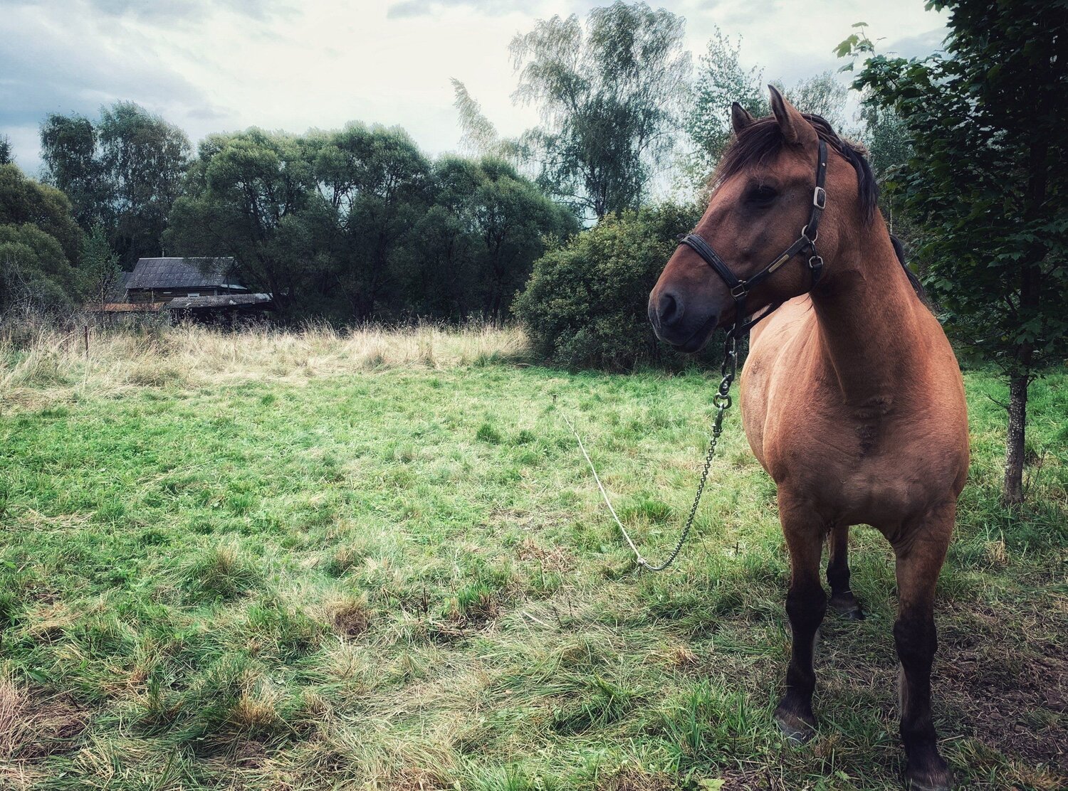 Photo #6078744