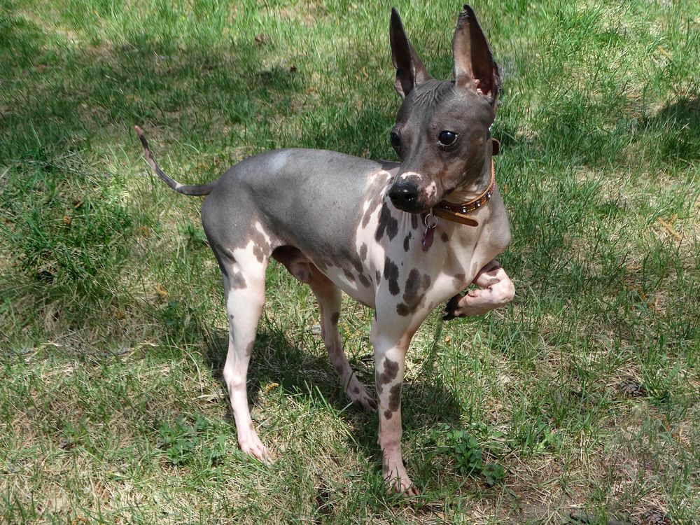 Photograph by Анжелика Трошина