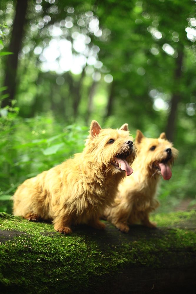 Photograph by Milla Luca