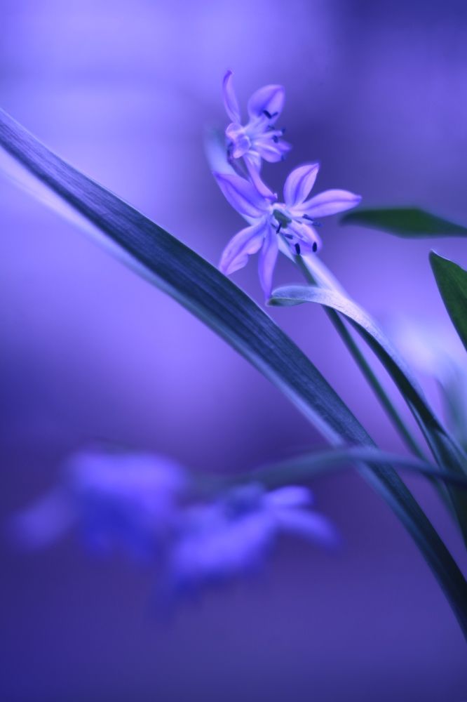 Photograph by Milla Luca