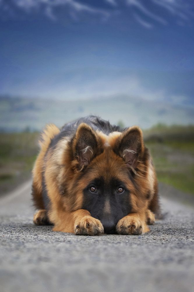 Photograph by Алена Райфутдинова