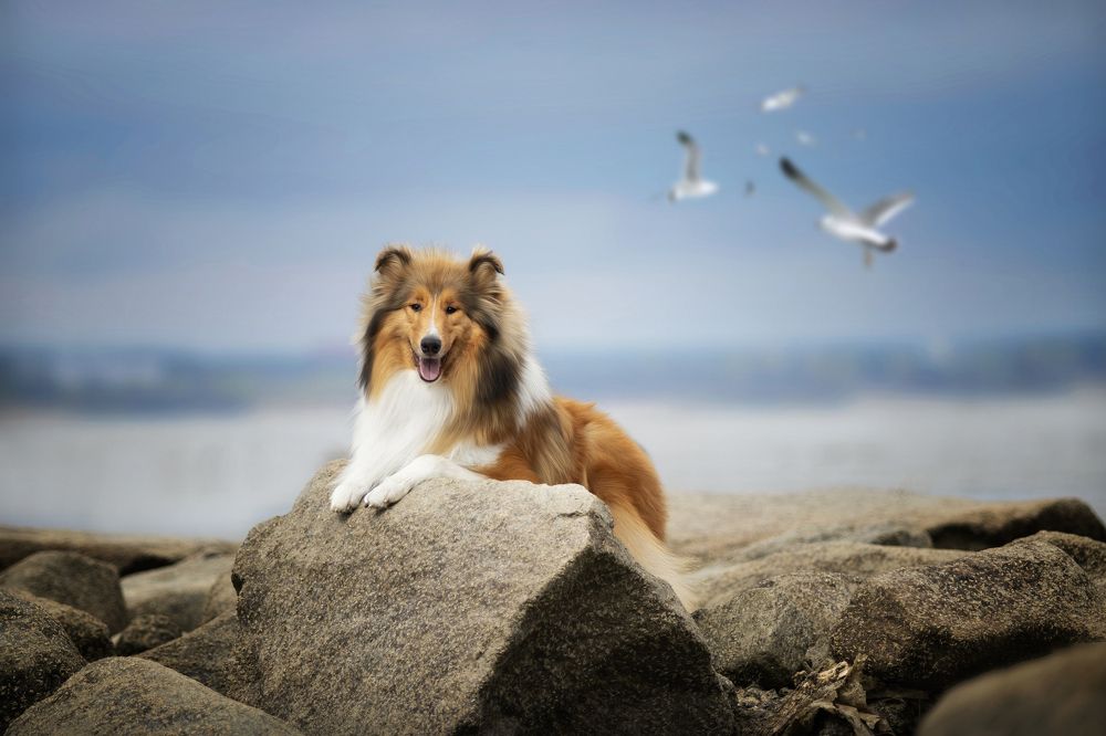 Photograph by Алена Райфутдинова